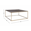 Uttermost Trebon Modern Faux Shagreen and MDF Coffee Table in Brushed Brass
