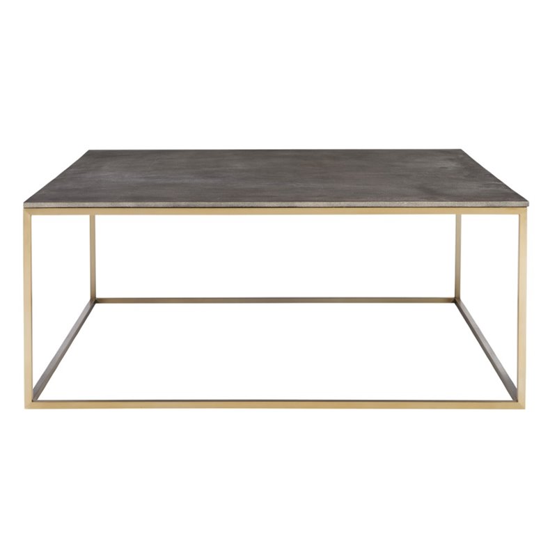 Uttermost Trebon Modern Faux Shagreen and MDF Coffee Table in Brushed Brass