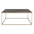 Uttermost Trebon Modern Faux Shagreen and MDF Coffee Table in Brushed Brass