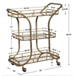 Uttermost Stassi Transitional Glass and Iron Serving Cart in Antique Gold