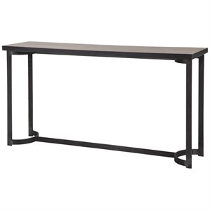 Uttermost Basuto Modern Iron Metal and Wood Console Table in Light Gray