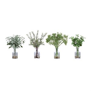 uttermost ceci kitchen herb in clear (set of 4)