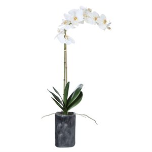 uttermost eponine white orchid in charcoal gray