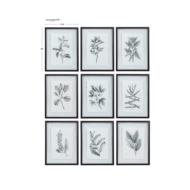 Uttermost Farmhouse Florals Iron Glass Cotton Prints in Black/White (Set of 9)