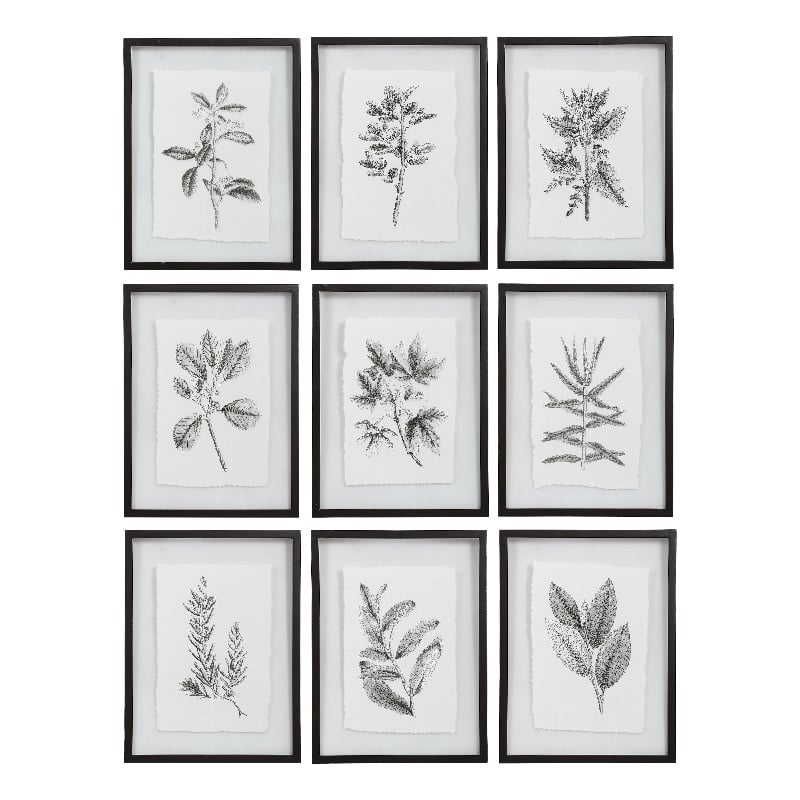 Uttermost Farmhouse Florals Iron Glass Cotton Prints in Black/White (Set of 9)