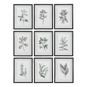 Uttermost Farmhouse Florals Iron Glass Cotton Prints in Black/White (Set of 9)