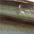 Uttermost Iroquois Transitional Earthenware Bowl in Mint Green/Chocolate Brown