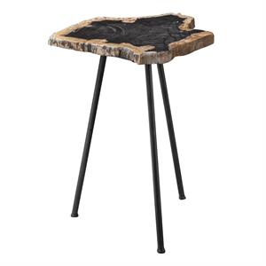 Uttermost Mircea Contemporary Metal Accent Table in Black/Woodtone