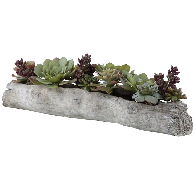 Uttermost Charita Contemporary Plastic Iron Cement Succulents in Green