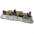 Uttermost Charita Contemporary Plastic Iron Cement Succulents in Green