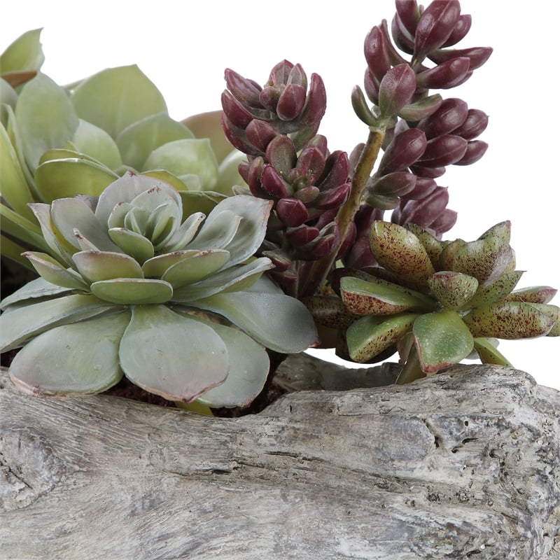 Uttermost Charita Contemporary Plastic Iron Cement Succulents in Green