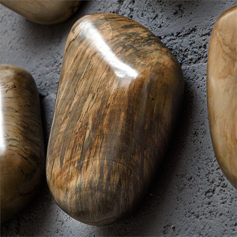 Uttermost Pebbles Contemporary Wood Wall Decor in Walnut (Set of 9)