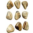Uttermost Pebbles Contemporary Wood Wall Decor in Natural (Set of 9)