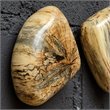 Uttermost Pebbles Contemporary Wood Wall Decor in Natural (Set of 9)