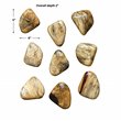 Uttermost Pebbles Contemporary Wood Wall Decor in Natural (Set of 9)