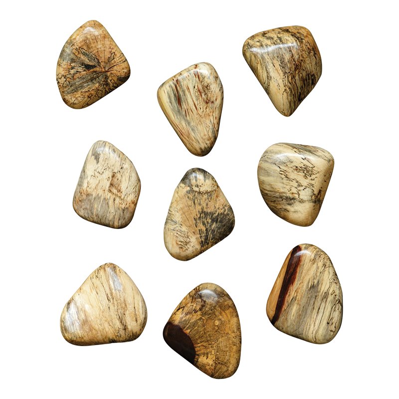 Uttermost Pebbles Contemporary Wood Wall Decor in Natural (Set of 9)