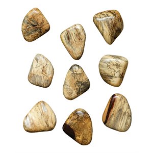 uttermost pebbles contemporary wood wall decor in natural (set of 9)