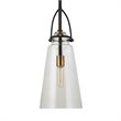 Uttermost Saugus 1-light Steel and Glass Pendant in Black and Brass
