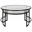 Uttermost Rhea Iron and Tempered Glass Nesting Coffee Tables in Black (Set of 2)
