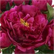 Uttermost Prima Peony Plastic Bouquet with Glass Vase in Pink/Clear