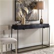 Uttermost Telone Iron Metal and Aluminum Console Table in Antique Black