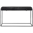 Uttermost Telone Iron Metal and Aluminum Console Table in Antique Black