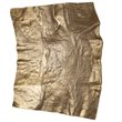 Uttermost Archive Organic Shape Contemporary Aluminum Wall Decor in Brass