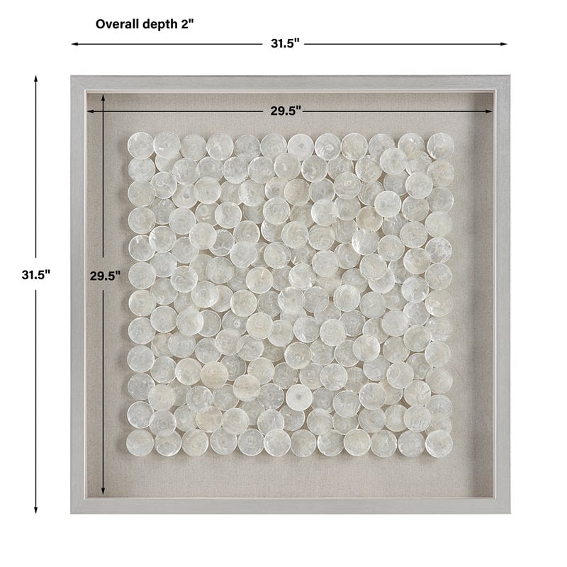 Uttermost Roxas Capiz Shell Wood and glass Shadow Box in Brushed Silver