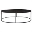 Uttermost Coreene Oval Iron Metal and Aluminum Coffee Table in Aged Black