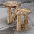 Uttermost Nadette Tamarind Wood Nesting Tables in Natural (Set of 2)