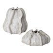 Uttermost Urchin Sand Textured Ceramic Vases in Ivory/Beige Glaze (Set of 2)