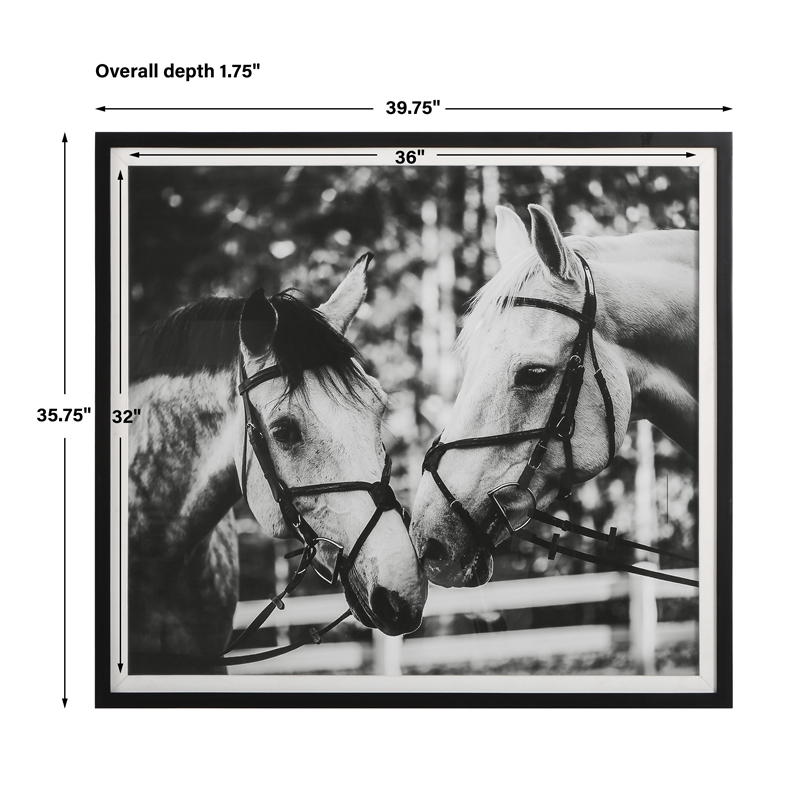 Uttermost Apple Of My Eye Wood and Linen Framed Print in Black/White