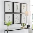 Uttermost Forest Finds Plastic and Paper Framed Prints in Brown/Green (Set of 6)