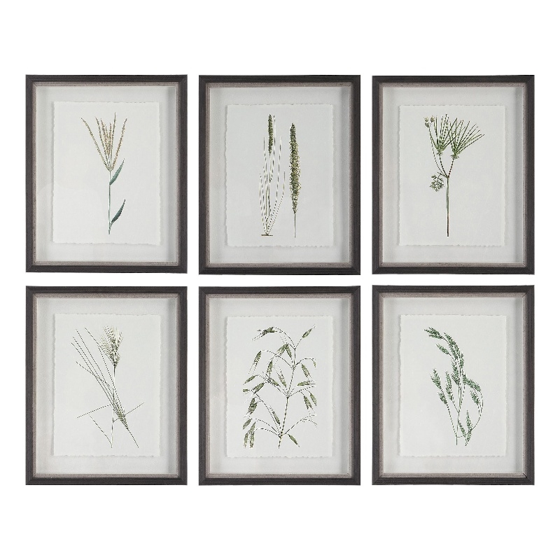 Uttermost Forest Finds Plastic and Paper Framed Prints in Brown/Green (Set of 6)