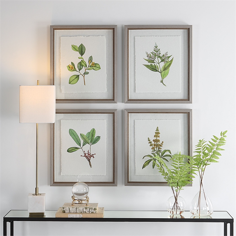 Uttermost Wildflower Study Plastic Paper Prints in Brown/Green/White (Set of 4)