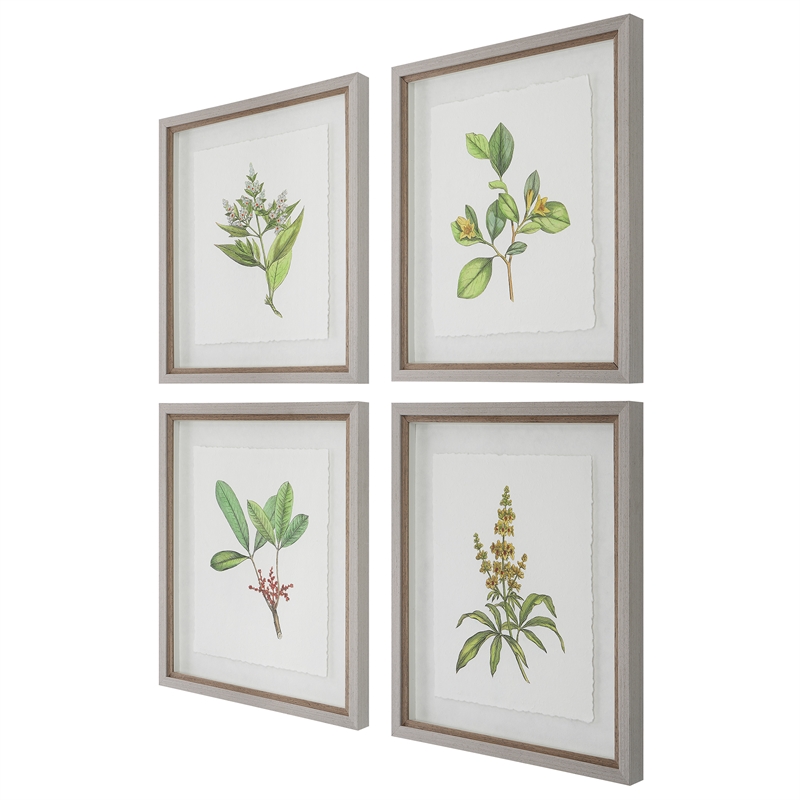 Uttermost Wildflower Study Plastic Paper Prints in Brown/Green/White (Set of 4)