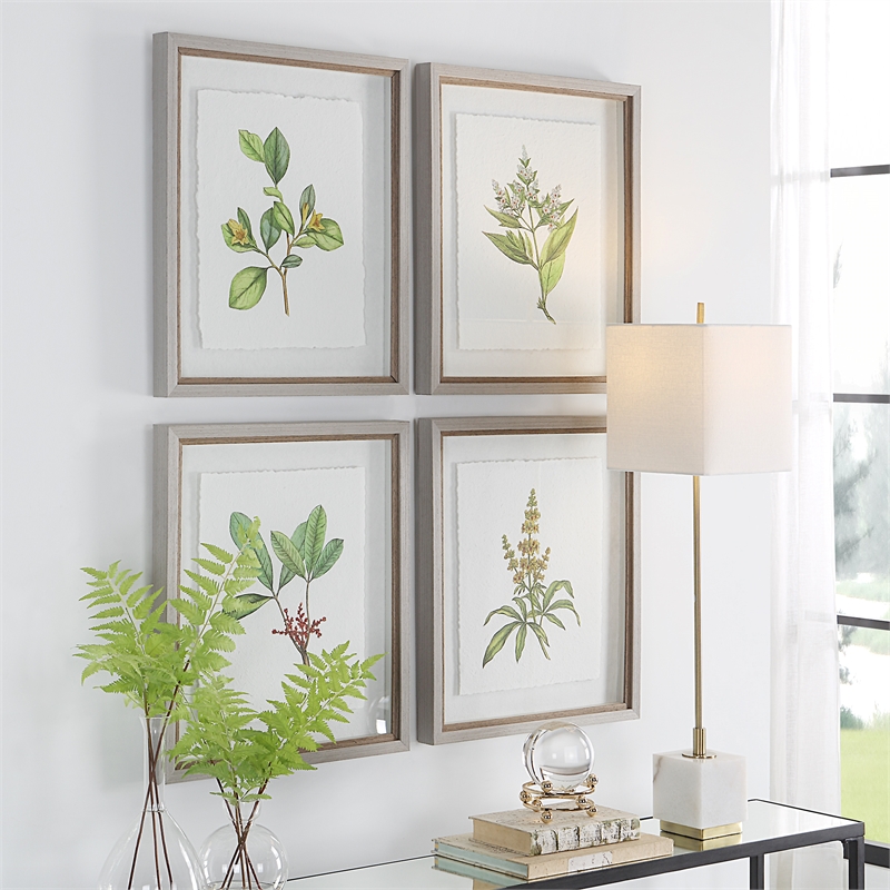 Uttermost Wildflower Study Plastic Paper Prints in Brown/Green/White (Set of 4)