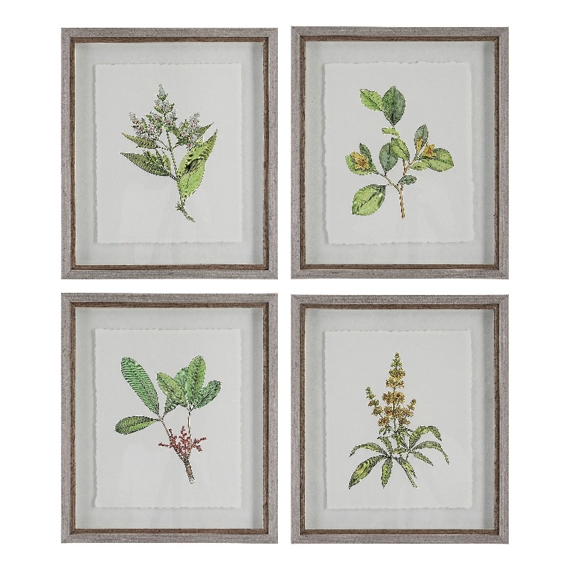 Uttermost Wildflower Study Plastic Paper Prints in Brown/Green/White (Set of 4)