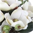 Uttermost Dobbins Magnolia Glass and Polyfoam Plastic Bouquet in White