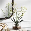 Uttermost Glory Contemporary Polyester Plastic and Iron Orchid in White