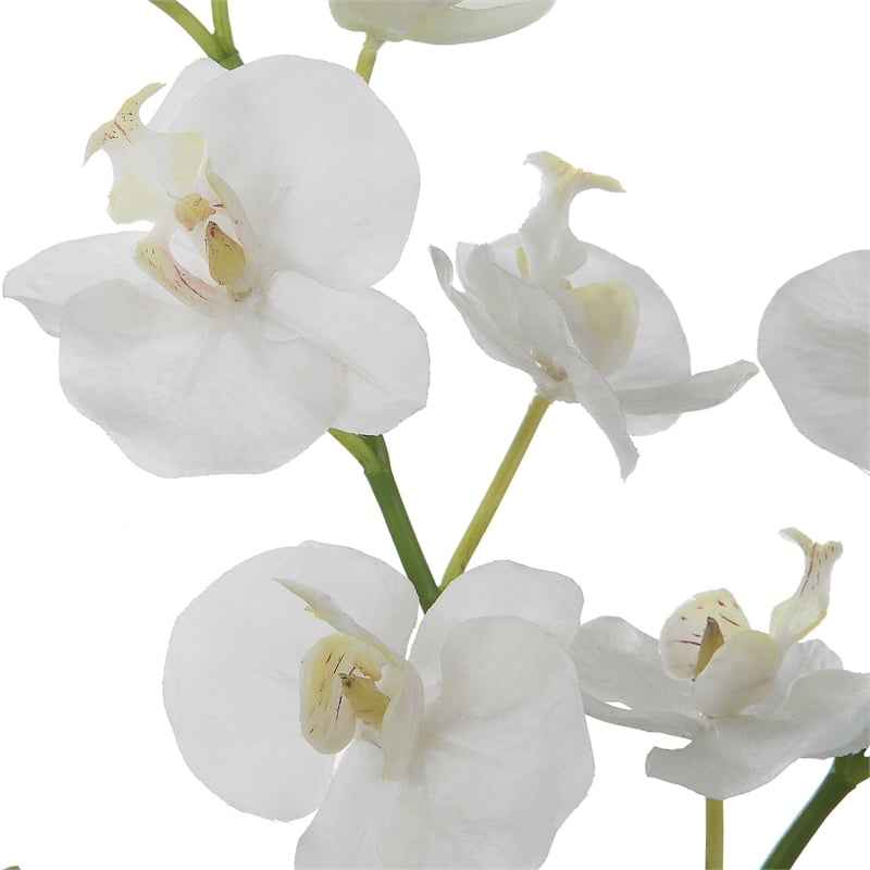 Uttermost Glory Contemporary Polyester Plastic and Iron Orchid in White