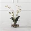 Uttermost Glory Contemporary Polyester Plastic and Iron Orchid in White