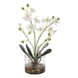 Uttermost Glory Contemporary Polyester Plastic and Iron Orchid in White