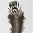 Uttermost Birds Of A Feather Plastic & Paper Prints in Brown/White (Set of 6)