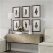 Uttermost Birds Of A Feather Plastic & Paper Prints in Brown/White (Set of 6)