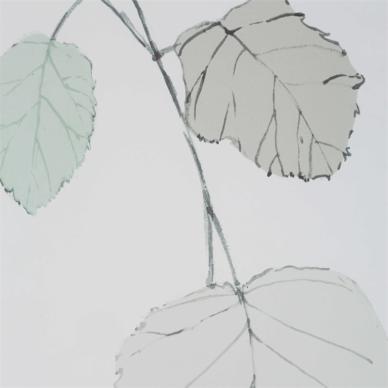 Uttermost Come What May Plastic & Paper Framed Prints in Brown/Green (Set of 2)