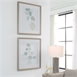 Uttermost Come What May Plastic & Paper Framed Prints in Brown/Green (Set of 2)