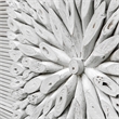 Uttermost Bahama Handcrafted Transitional Wood Wall Decor in White Washed