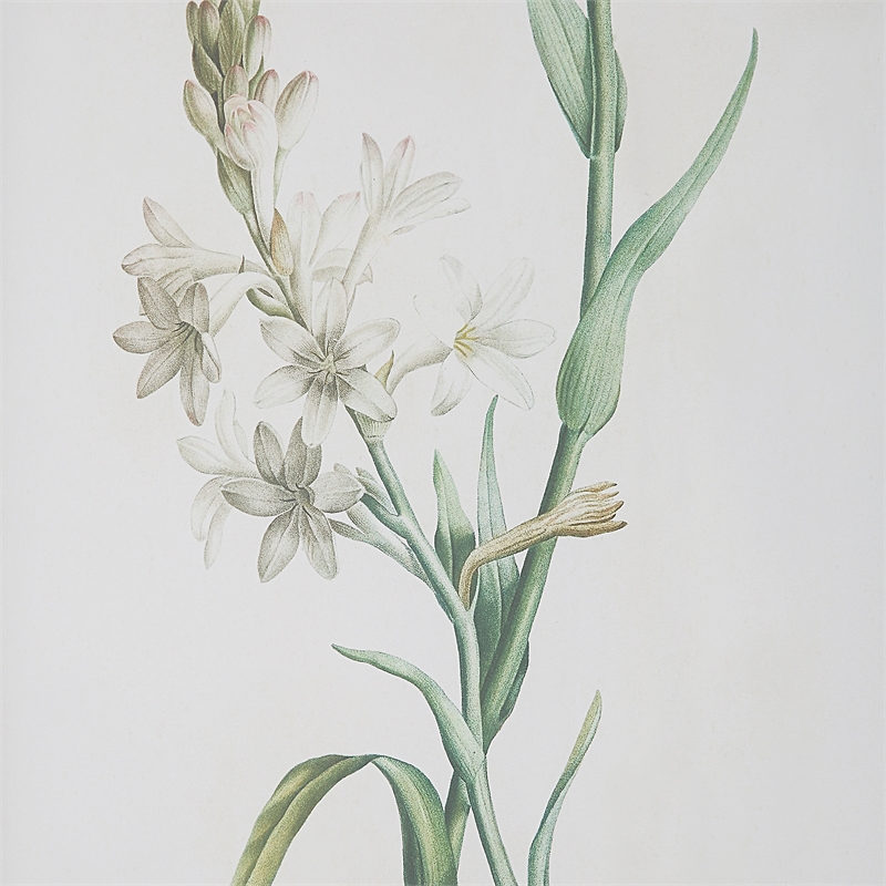 Uttermost Heirloom Blooms Wood & Fabric Framed Prints in Gray/Ivory (Set of 4)