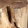 Uttermost Habitat 20